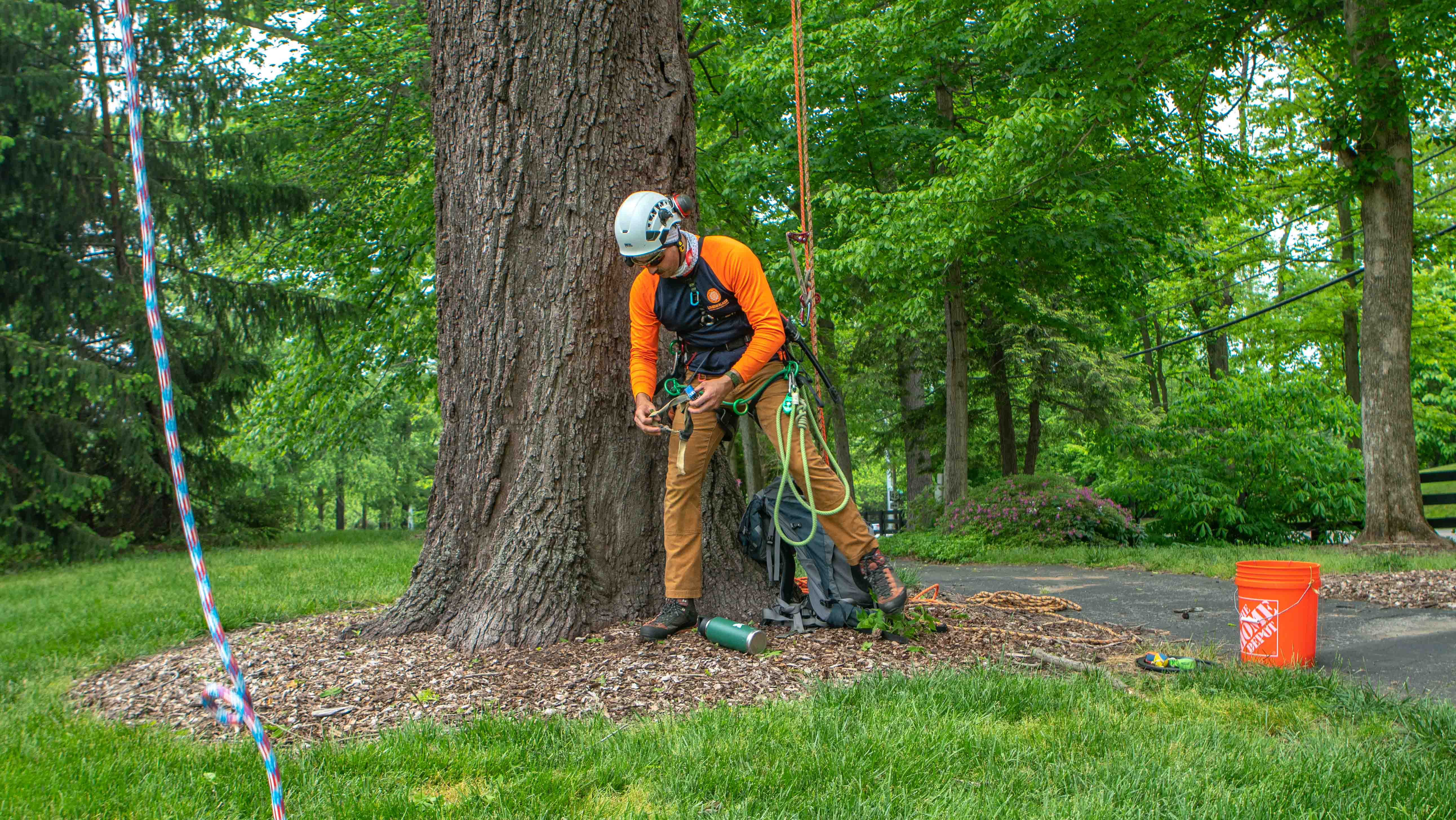 About Us Limbwalker Lawn Care and Tree Services
